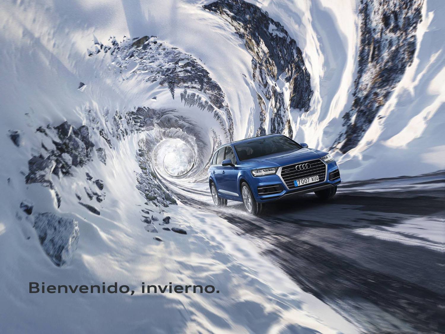 Accesorios Originales Audi invierno